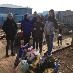 Акция продолжается помощь приюту для животных «Дружок»